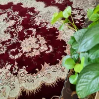 فرش 12متری درحدنوی نو بدون هیچ لک و زدگی