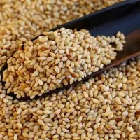 فرآورده های کنجد ایرانی و پاکستانی