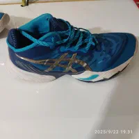 کفش والیبال|کیف، کفش، کمربند|کلاله, |دیوار