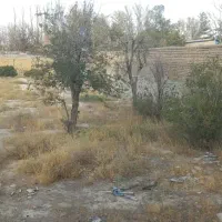 زمین 39هزار متری سند تک برگ