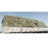 بیده در جه یک موجود