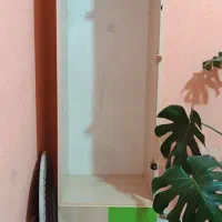 فروشی سالمه سالم|اسباب و اثاث بچه|محلات, |دیوار