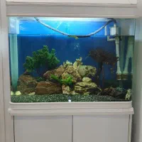 آکواریوم سفید شرکتی با کمد