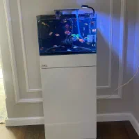 آکواریوم و پایه به همراه سامپ فیلتر و ماهی کالر