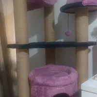 خانه و اسکچر گربه
