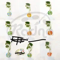 مگنت گلجا گلدان قلمه گل طبیعی و مصنوعی
