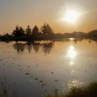 فروش ویژه زمین کشاورزی ۷ هکتاری مخصوص  برنج