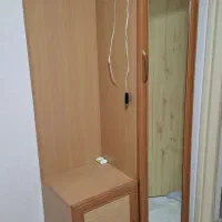 جاکفشی و جالباسی|جاکفشی، کمد، دراور|رشت, دیانتی|دیوار