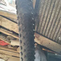 لاستیک دوچرخه|دوچرخه، اسکیت، اسکوتر|رشت, دخانیات|دیوار