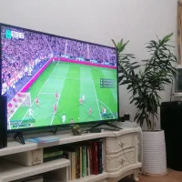 تلویزیون 49اینچ ایکس ویژن