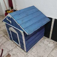 لانه سگ|لوازم جانبی حیوانات|آستانه اشرفیه, |دیوار