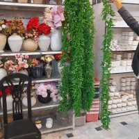 شمشادهای اویزی ۱۷۰ سانتی اک|گل مصنوعی|قم, شهرک فاطمیه|دیوار