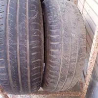 لاستیک سمند دور پانزده