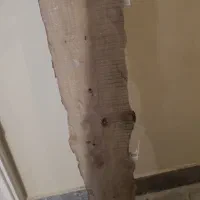 شلف چوب خام|کتابخانه، شلف، قفسه‌های دیواری|مشهد, هنرستان|دیوار