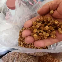 توت|خوردنی و آشامیدنی|اردبیل, |دیوار