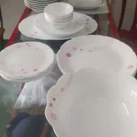 مقداری ظرف و ظروف چینی و آرکوپال