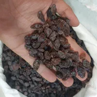 مویز آفتابی شیره|خوردنی و آشامیدنی|شیراز, میانرود|دیوار