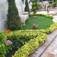 باغبانی طراحی باغچه گل درخت فضای سبز با چک مدت دار|خدمات باغبانی و درختکاری|کرج, گوهردشت|دیوار