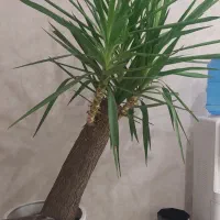 اجاره ملک تجاری