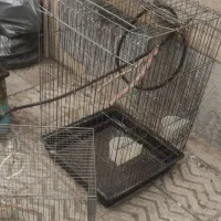 قفس پرنده|لوازم جانبی حیوانات|تهران, اتابک|دیوار