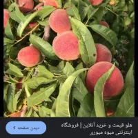 فروش نهال هلو ۲ساله