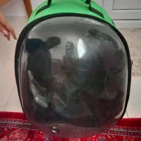 کیف سگ ،گربه