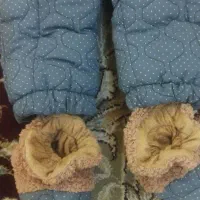 لباس سرهمی|اسباب و اثاث بچه|تربتحیدریه, شهرک ولیعصر|دیوار