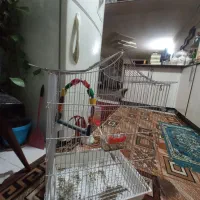 قفس طوطی کاسکو مینا