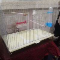 قفس بزرگ پرنده