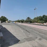 صفین جدید/فروش/زمین