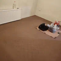 موکت طرح لوزی|موکت|اردبیل, |دیوار