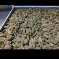 کشمش سبز