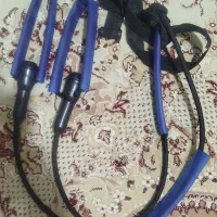 کش ورزشی وبدنسازی