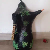 نی انبان حرفه ای و خوش صدا