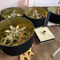 ۴ عدد لوستر