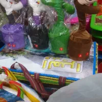 فروش  کاکتوس موزیکال و سخنگو