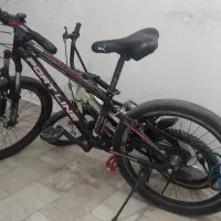 دوچرخه ۲۴ دنه ای