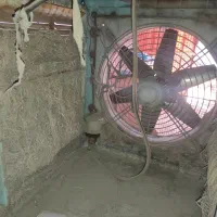 کولر آبی با فن بزرگ|کولر آبی|شوشتر, |دیوار