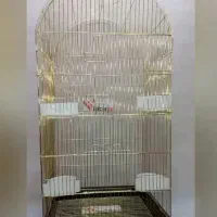 قفس بزرگ عروس هلندی و کاسکو