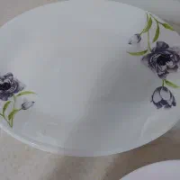 ظروف