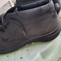 فروش کفش سایز ۳۸|کیف، کفش، کمربند|شیراز, لاله|دیوار