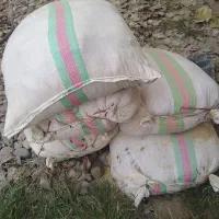 سبوس برنج