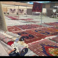 قالیشویی‌ماندگارسهند///سرویس‌رایگان