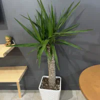 خونه دارم هم خونه میخوام