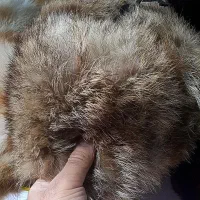 کلاه روسی اصل