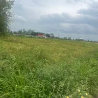 زمین فروشی /فلکه رازی/فلکده /تهاتر /سنددار|فروش زمین و ملک کلنگی|رشت, نظری|دیوار