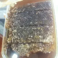 عسل ۱۰۰درصدطبیعی