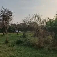 زمین ۷۰۵ متری درگیلان|فروش زمین و ملک کلنگی|ماکلوان, |دیوار