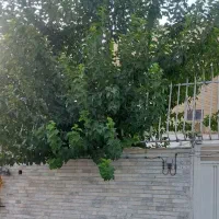 رهن اجاره /خانه یک خوابه/مجتمع مسکونی لاله|اجارهٔ خانه و ویلا|اصفهان, سودان|دیوار