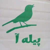 فروش ران مرغ عمده و خرده